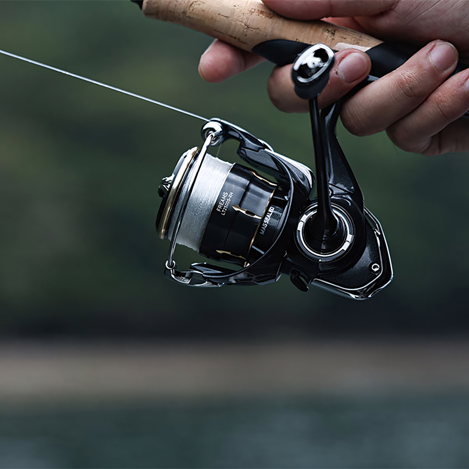 DAIWA 2026 FREAMS Spinning Ree - Shimano Reel Stradic review and price